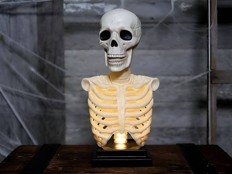 Light-Up Skeleton Bust – 16" Halloween Display Decor