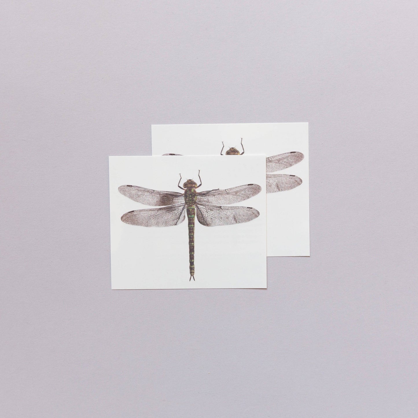 Dragonfly Tattoo Pair