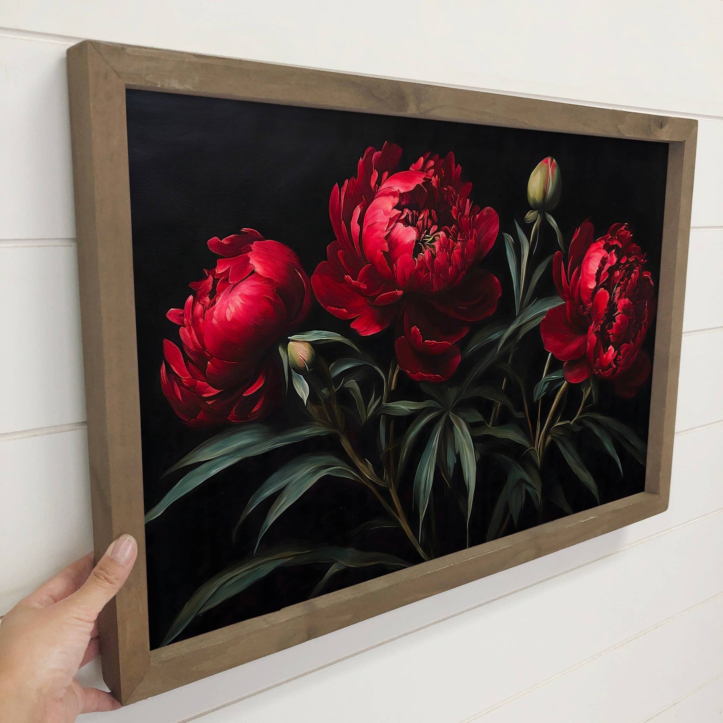 Dark Red Peonies Flower Canvas Art