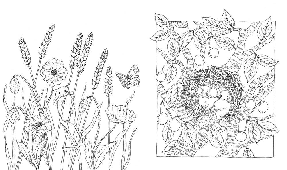 Flora Coloring Book