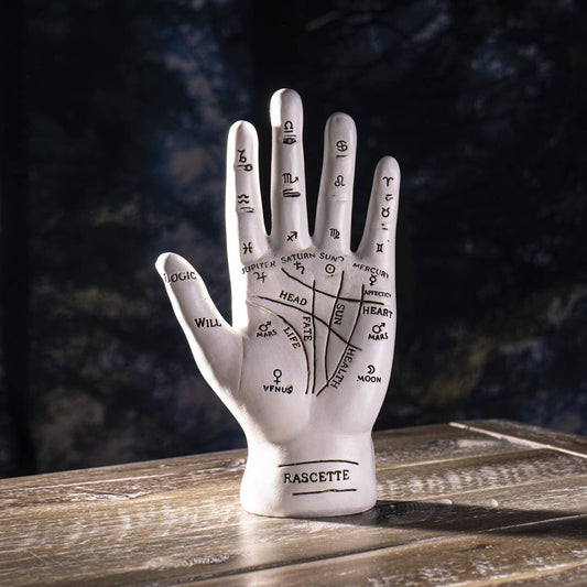 Fortune Teller Palm Hand Palmistry