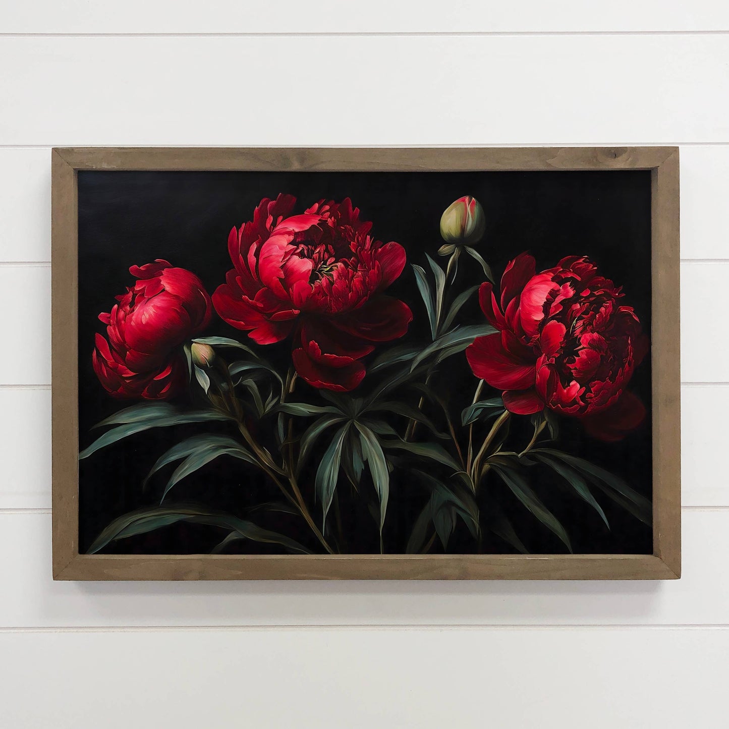 Dark Red Peonies Flower Canvas Art