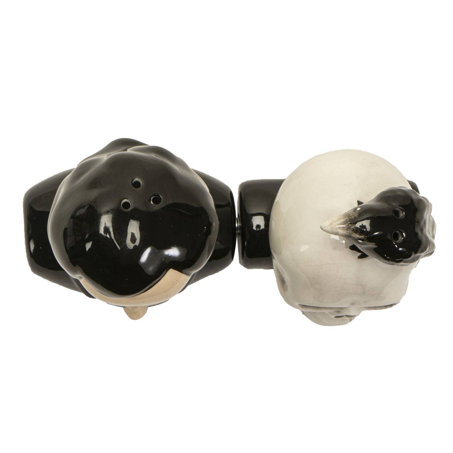 Edgar Allen Poe Salt & Pepper Magnetic Shaker Set