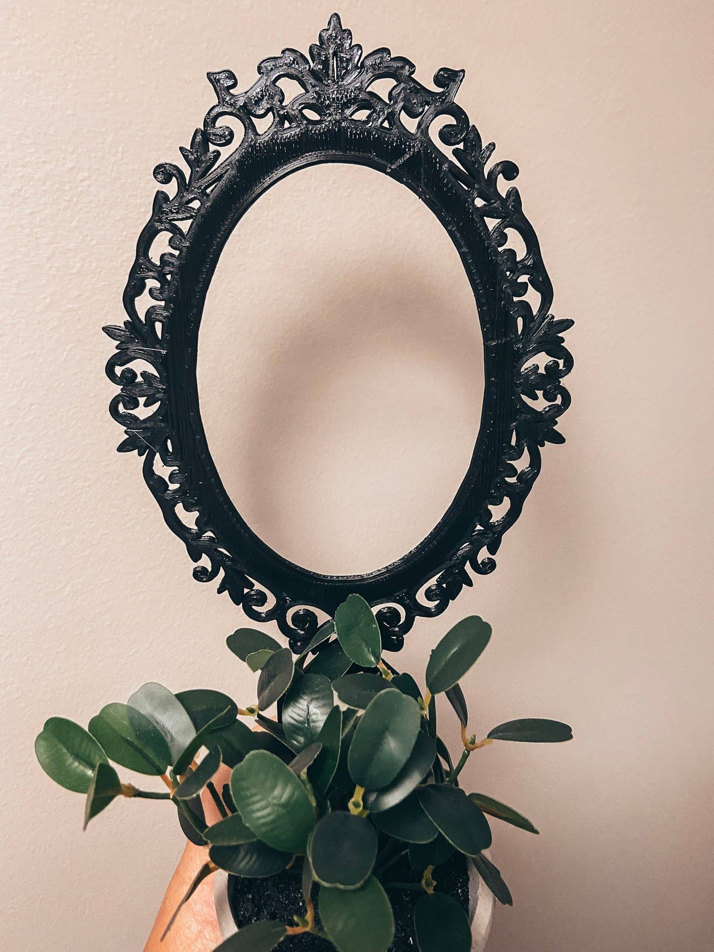 Mirror Trellis