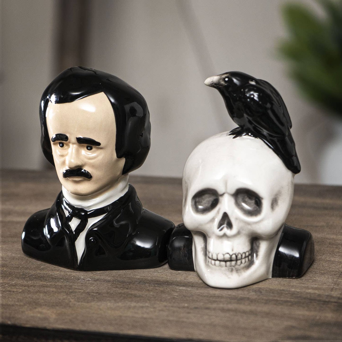 Edgar Allen Poe Salt & Pepper Magnetic Shaker Set