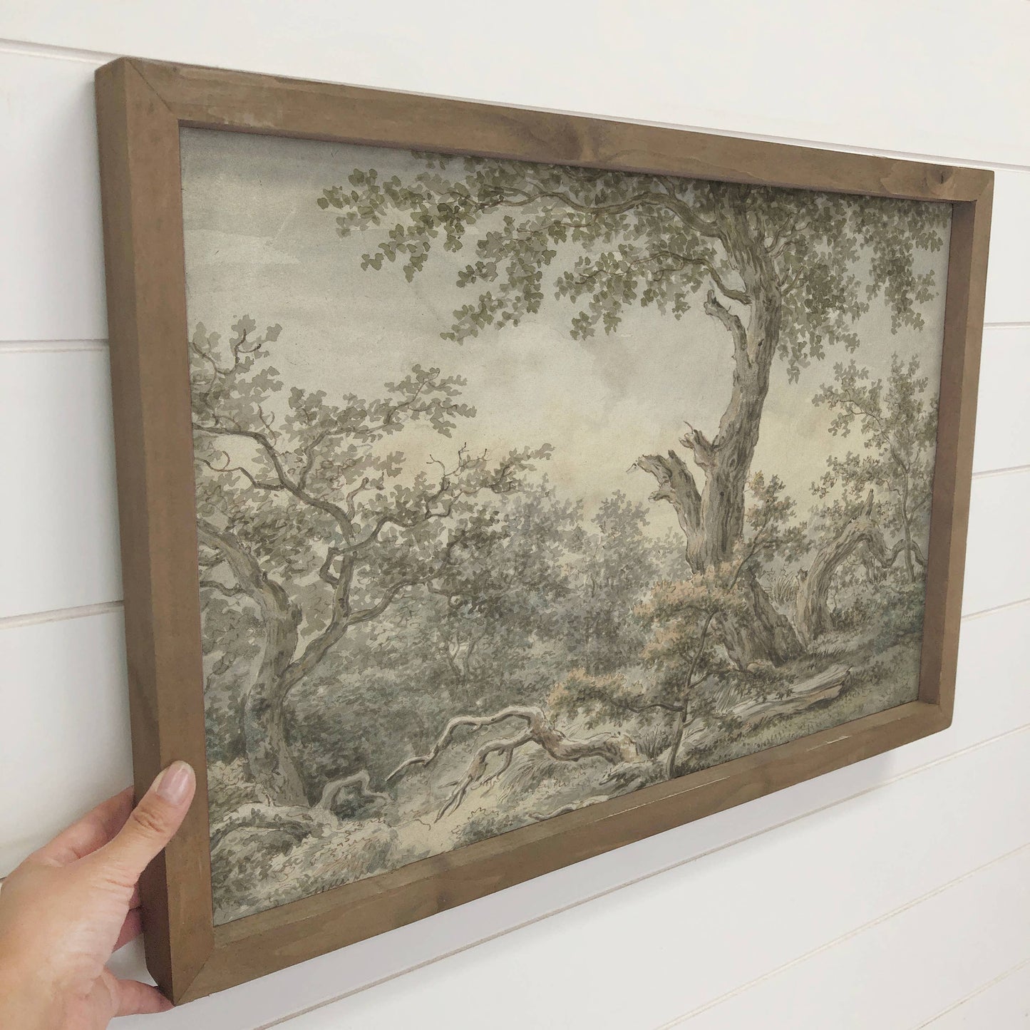 Vintage Leafy Forest Framed